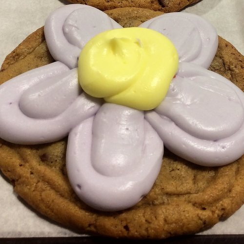 BIG Chocolate Chip Cookie with Buttercream Daisy (Copy)