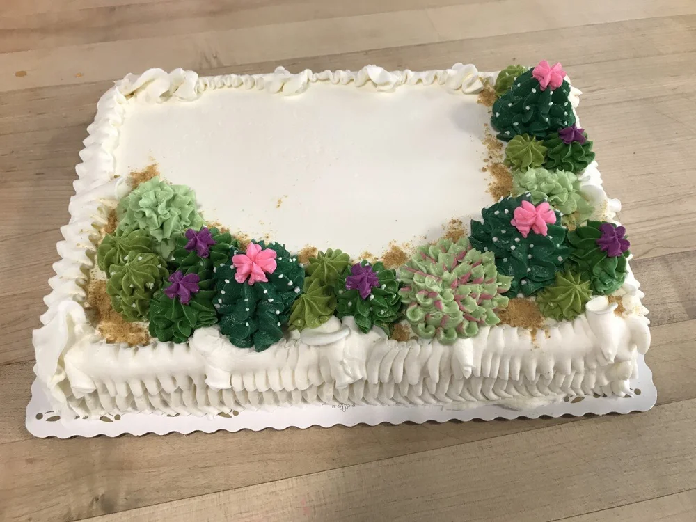 Trefzger S Decorated Cake With Piped Succulents Trefzger S Bakery