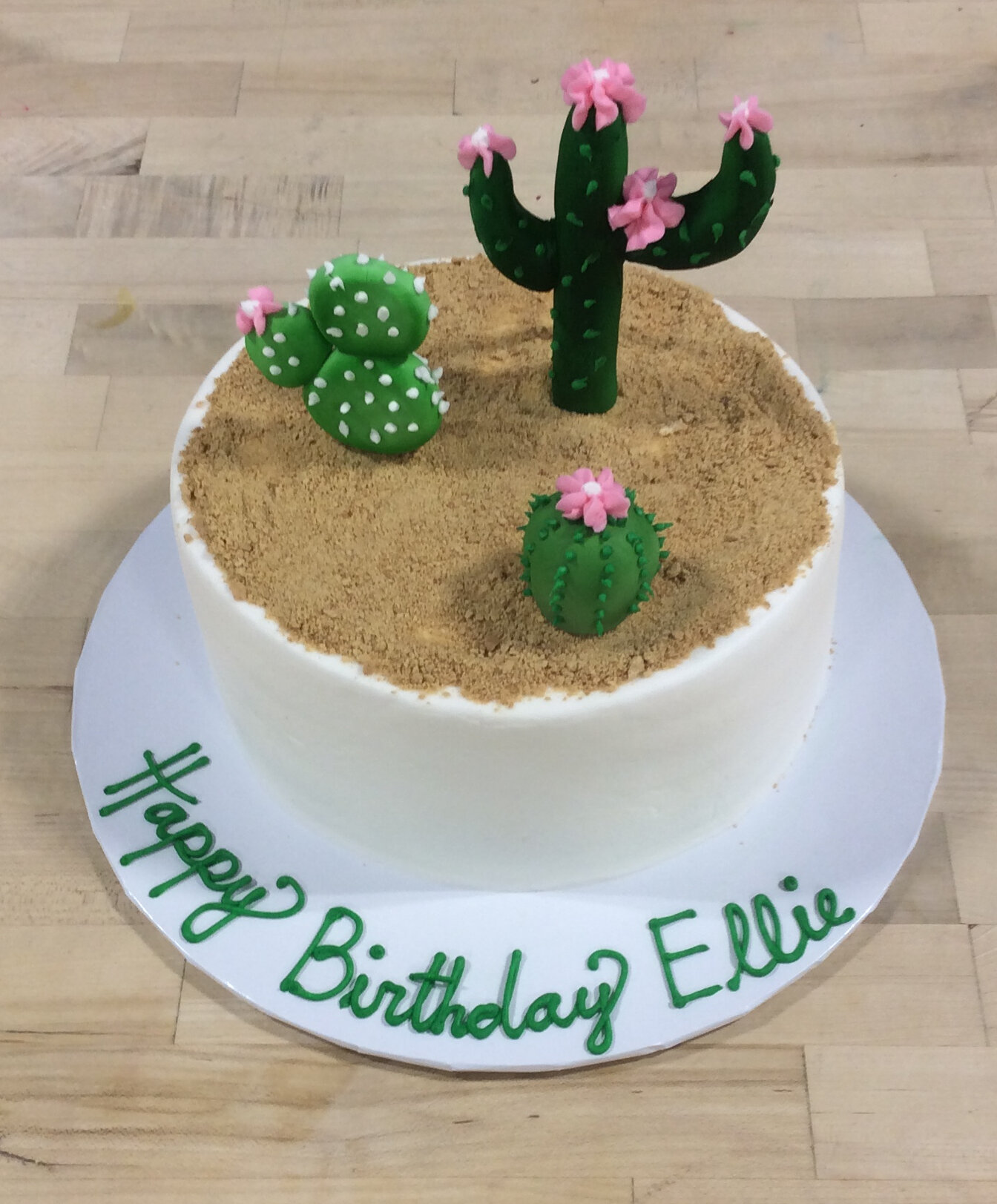 Round with Cactus and Sand.JPG