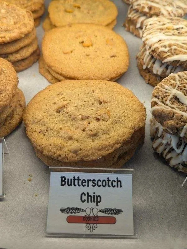 BS+Chip.jpg