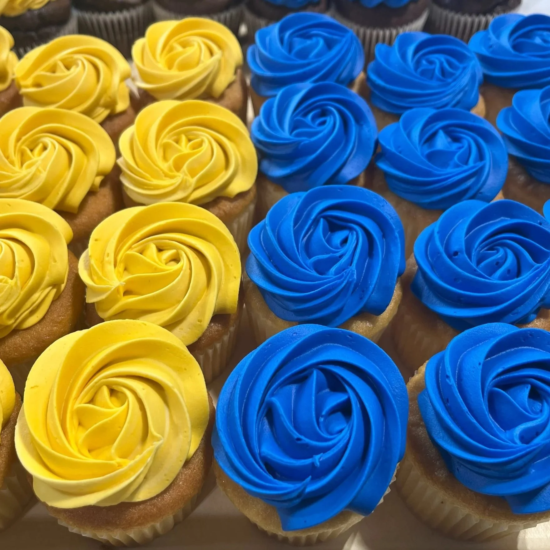 Graduation Star Tip Iced Cupcakes