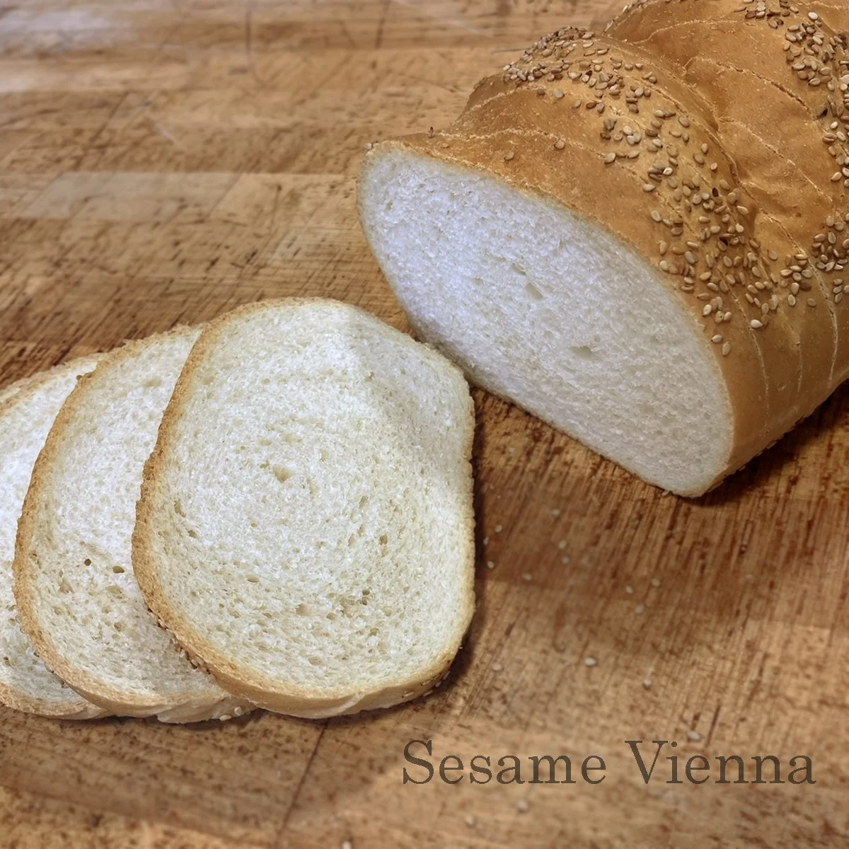 Sesame Vienna.jpg