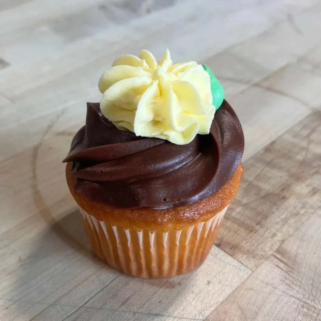 Yellow Cupcakes with Chocolate Fudge Icing