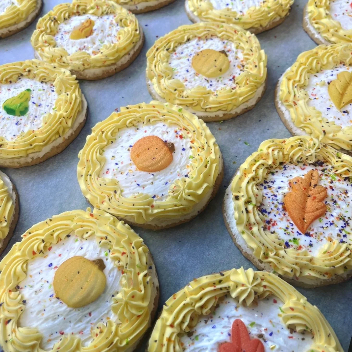 Special Border Sugar Cookies