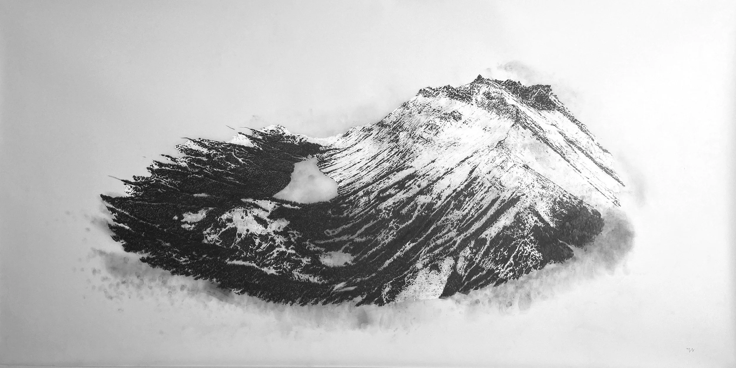   Heirloom, 2023  Drafting film, graphite and white pencil crayon, 36” x 72”&nbsp; 