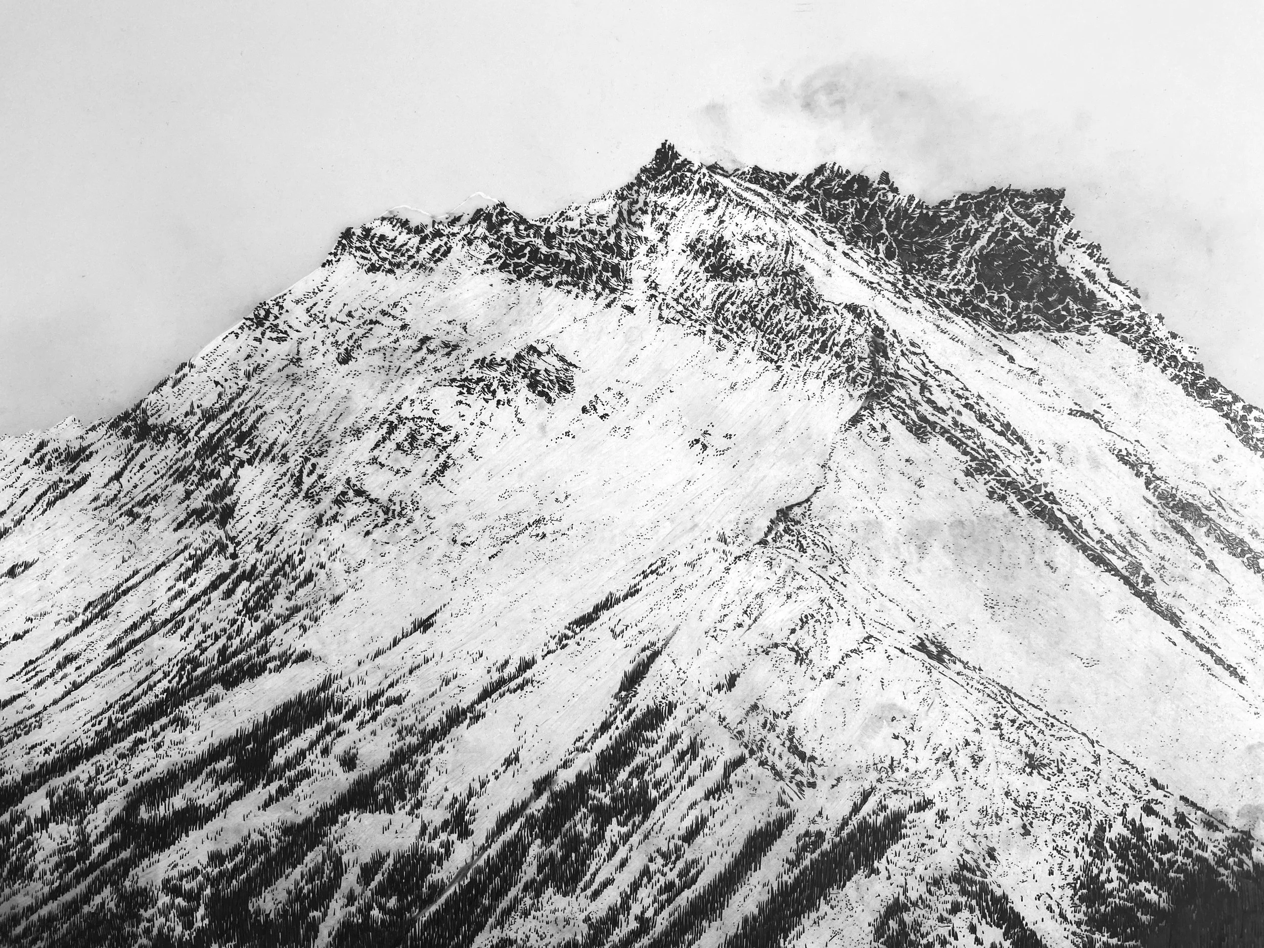   Heirloom (detail), 2023  Drafting film, graphite and white pencil crayon, 36” x 72”&nbsp; 