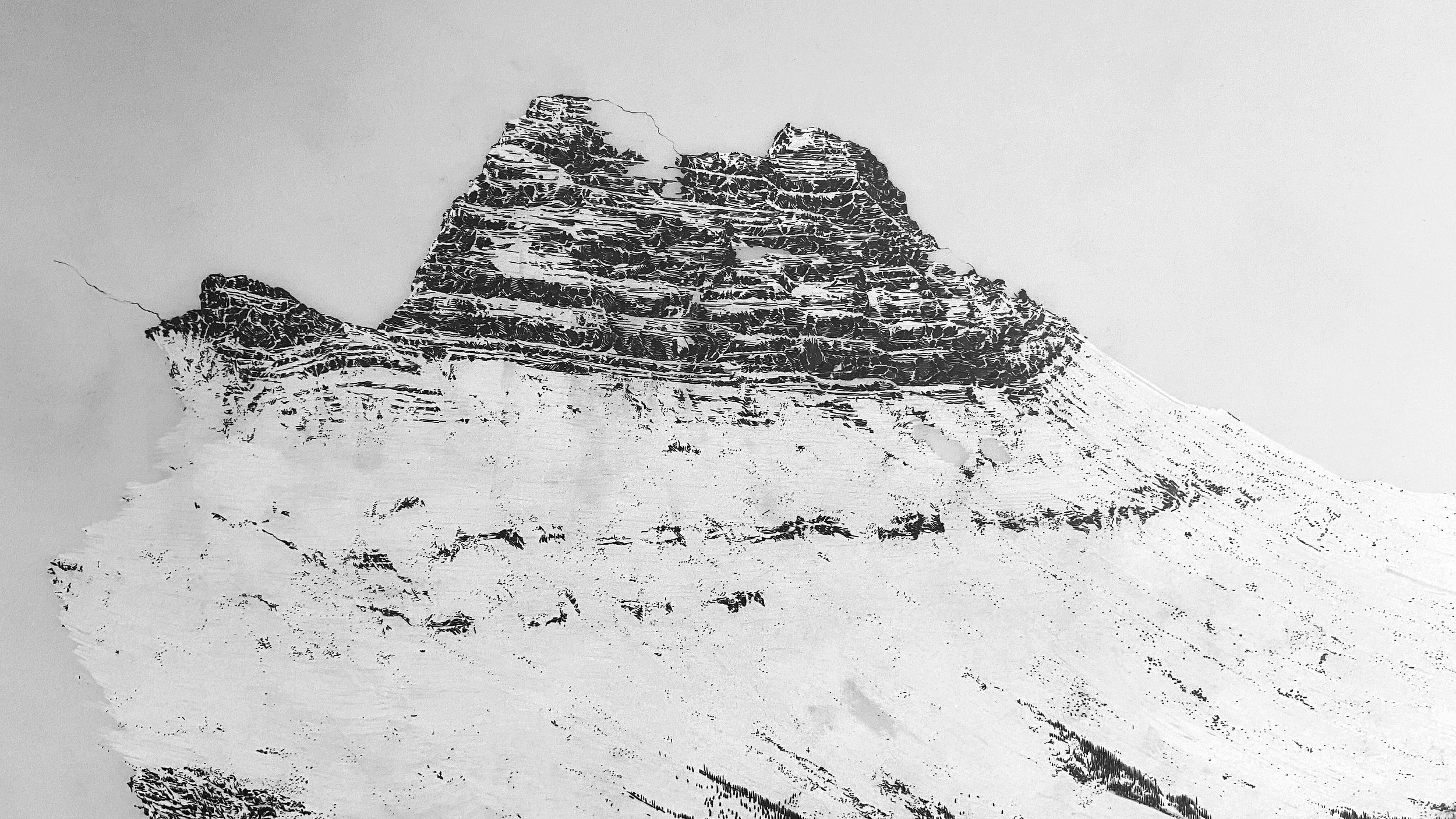 Forefather (detail), 2023 Drafting film, graphite and white pencil crayon, 36” x 72” 