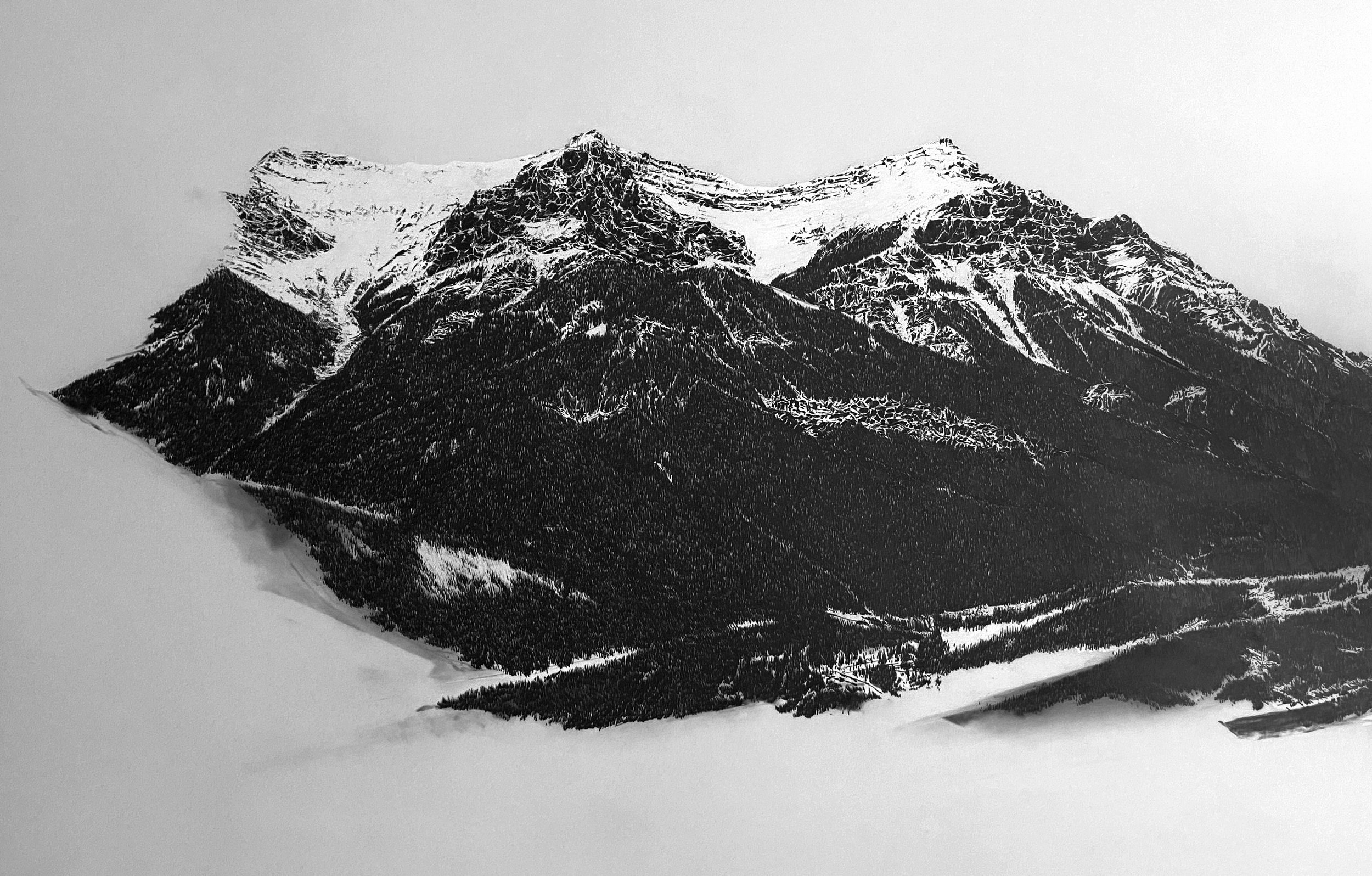Cradle (Canmore) detail, 2022 Drafting film, graphite and white pencil crayon, 36” x 101.75”