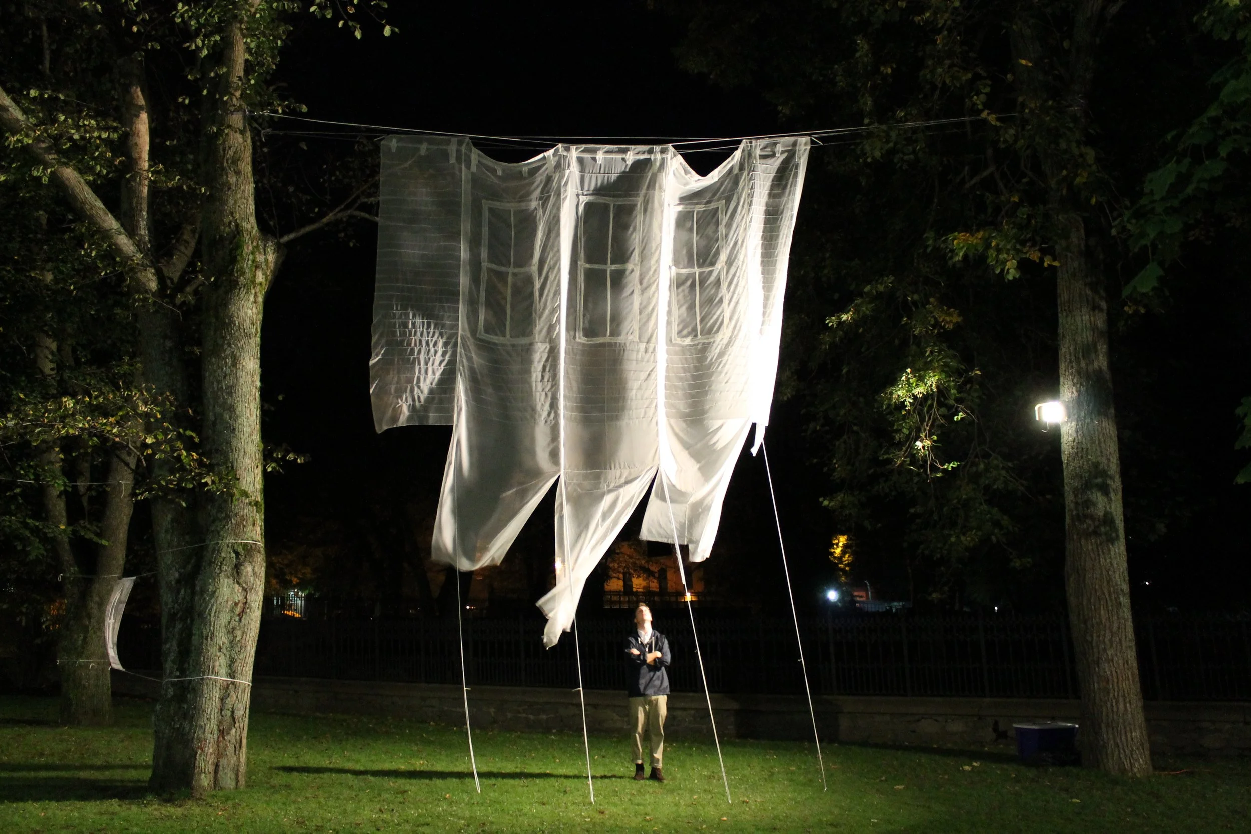 Charley Young- Phantom Limb 2011.JPG