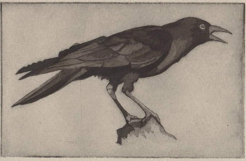 Winter Crow