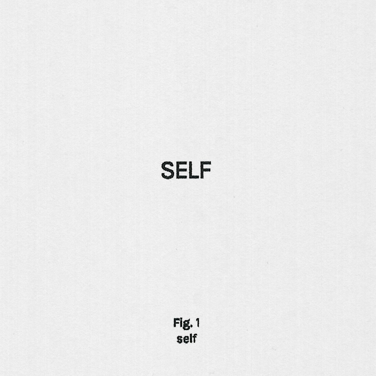 self_1.png