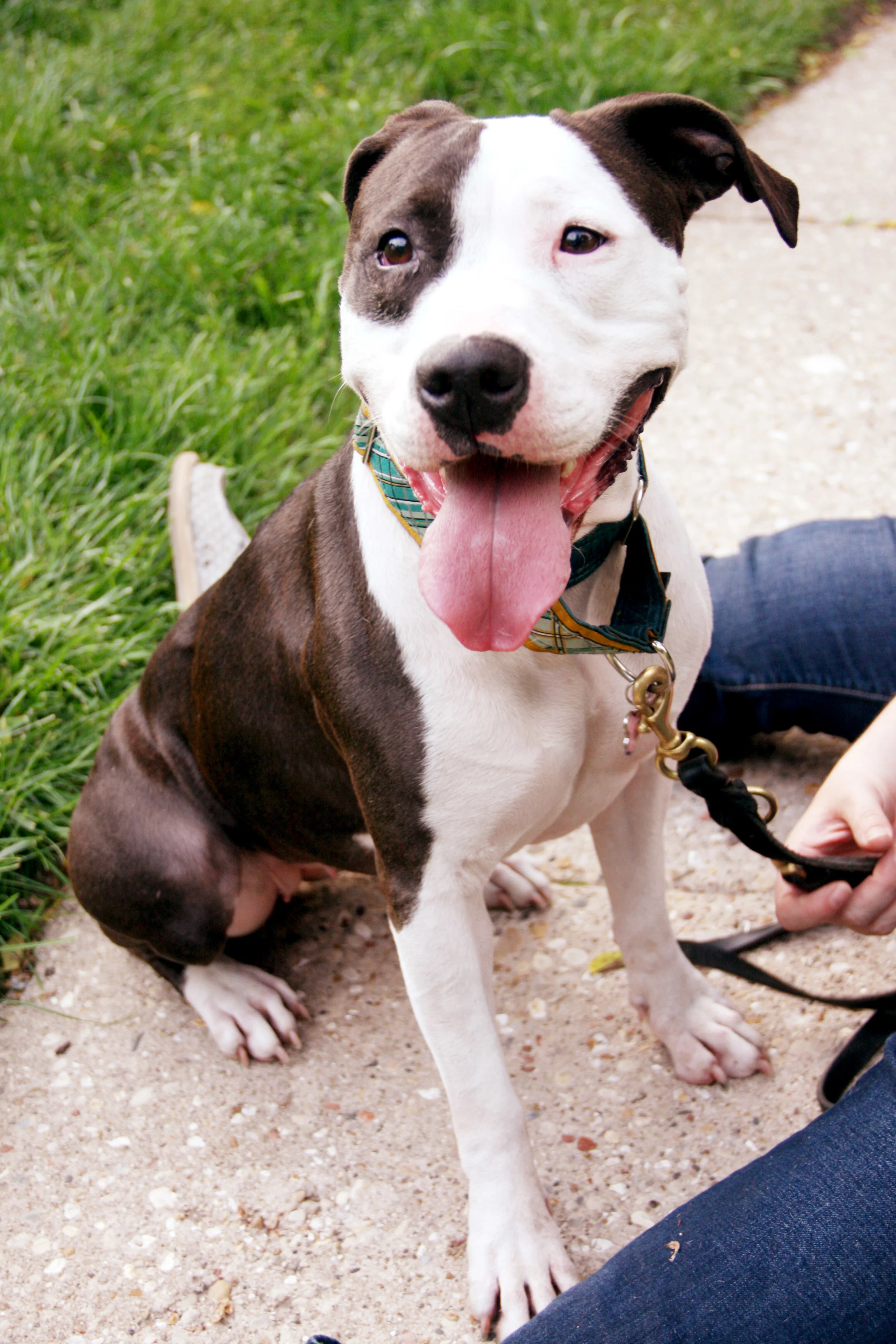 Start Summer off Right!