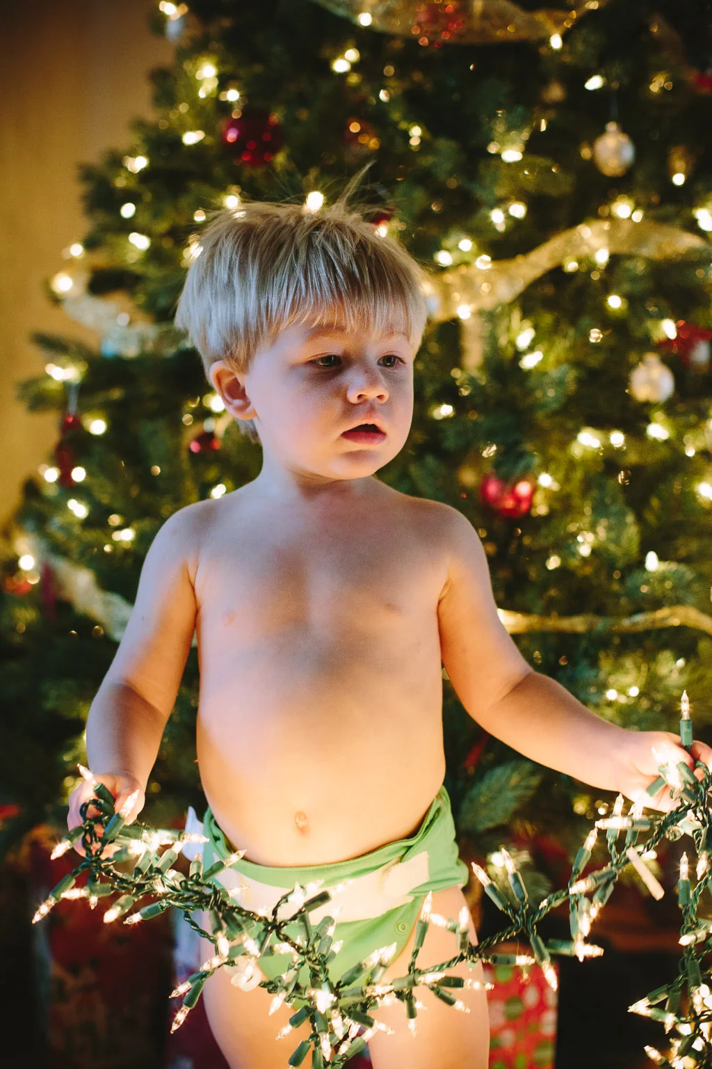 ChristmasCooper_1.jpg
