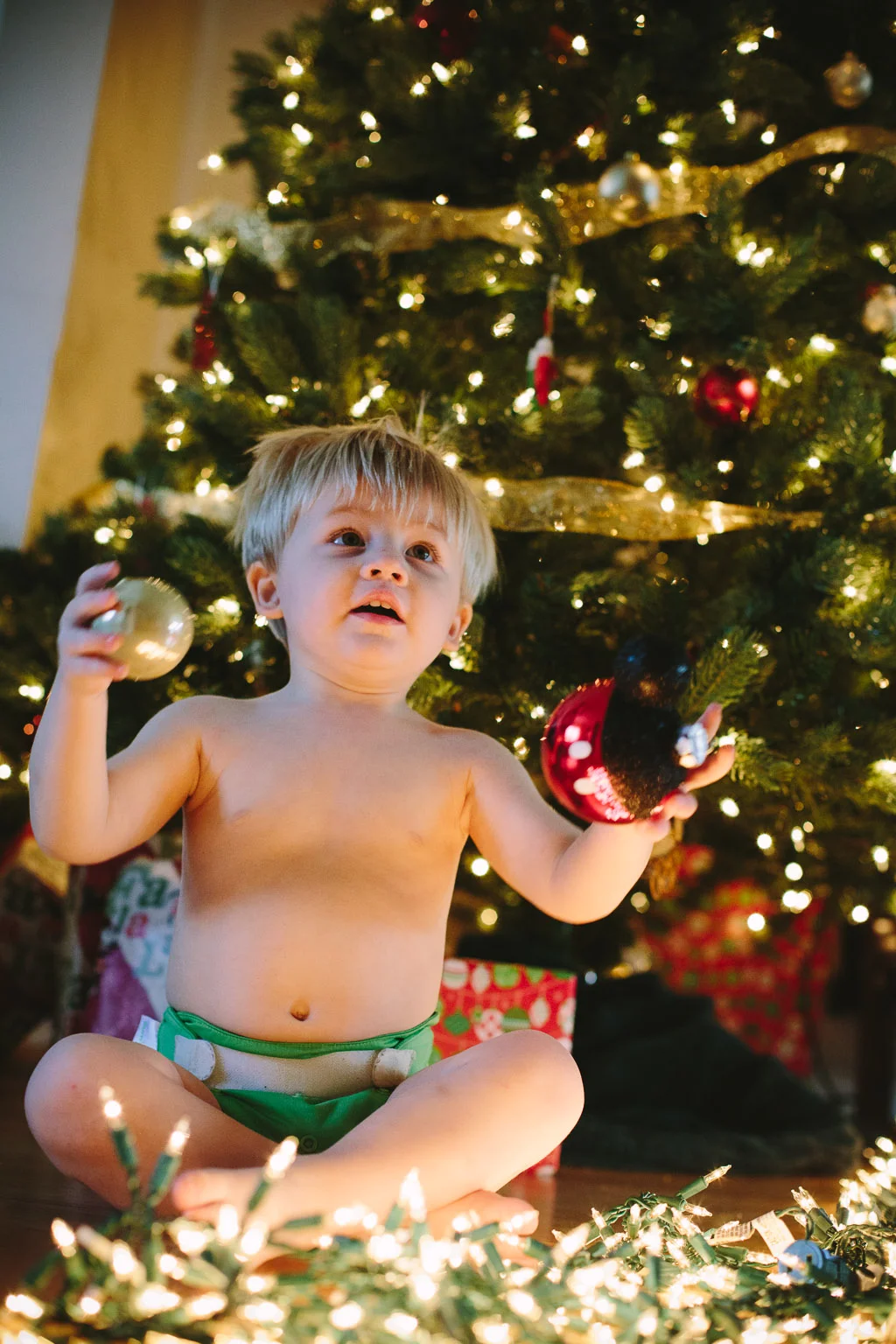 ChristmasCooper_2.jpg