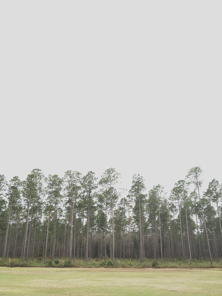 Okefenokee-001.jpg