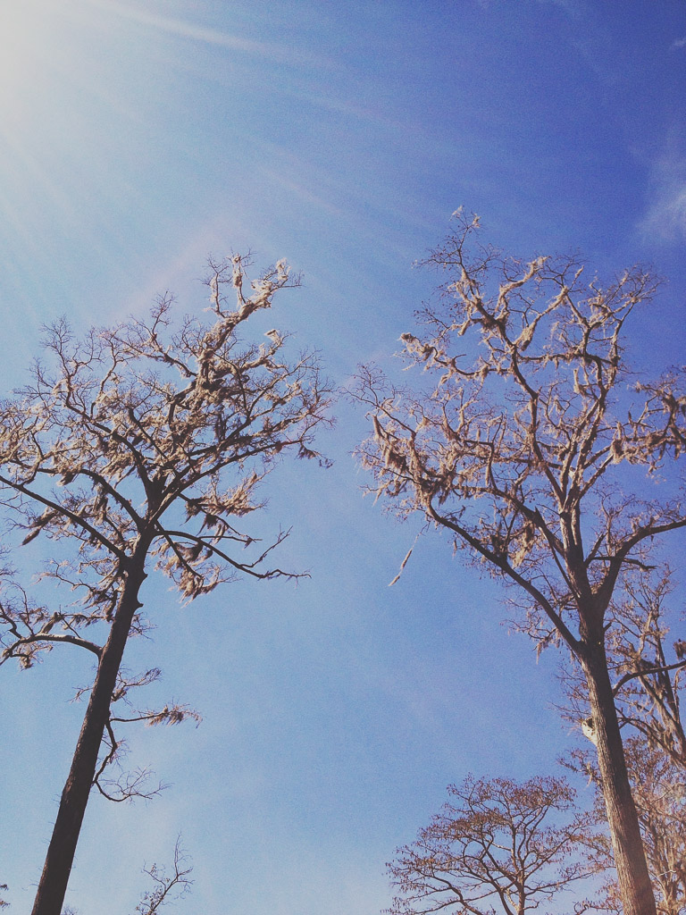 Okefenokee-005.jpg