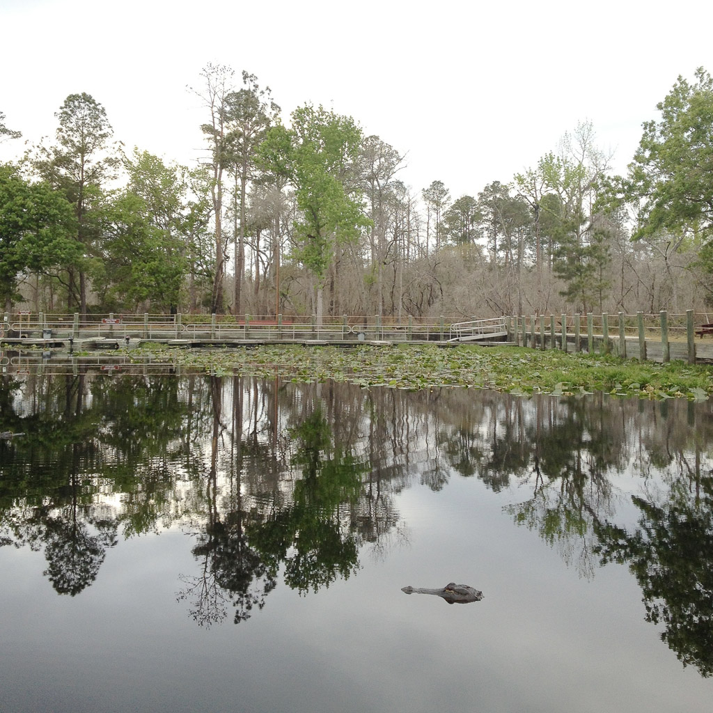 Okefenokee-008.jpg