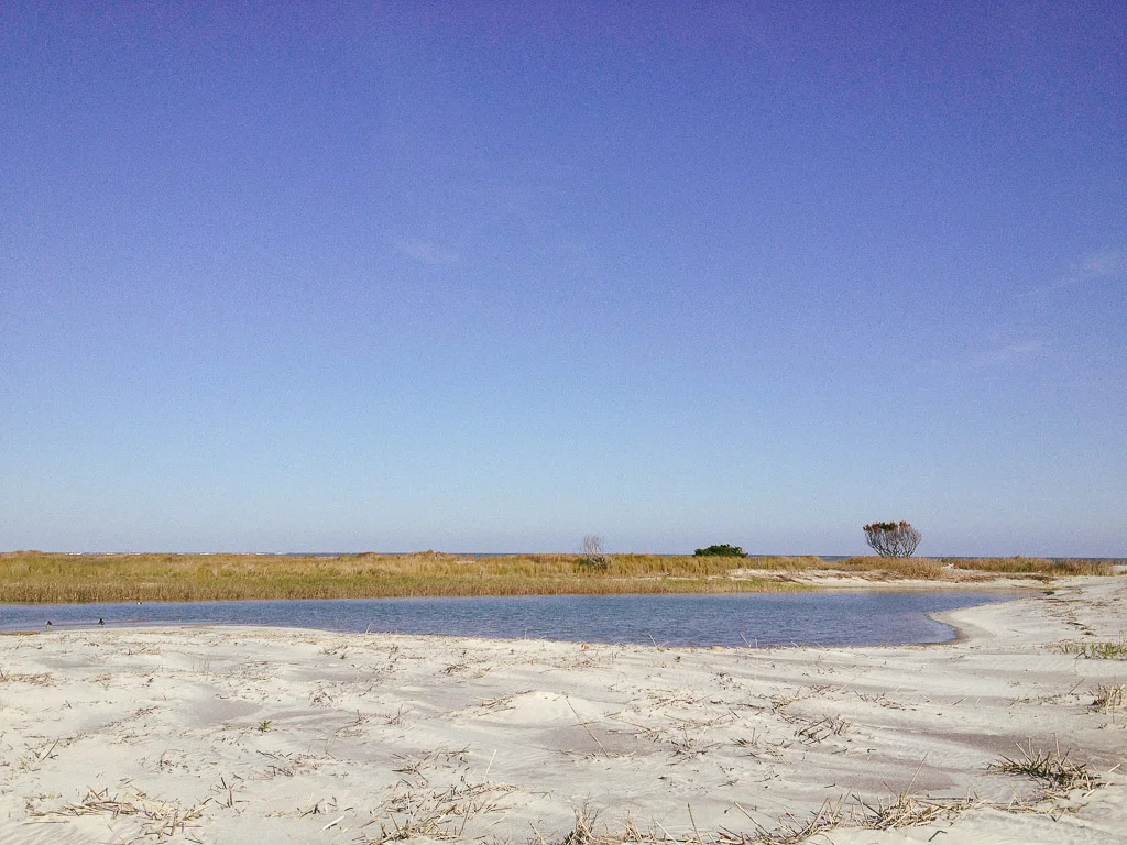 TybeeIsland-003.jpg