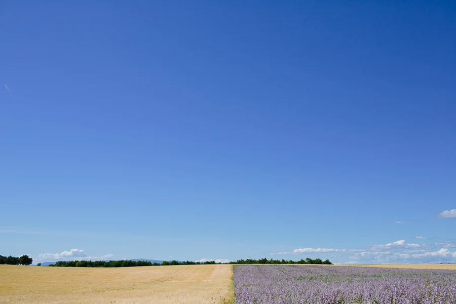 valensole-france-29.jpg