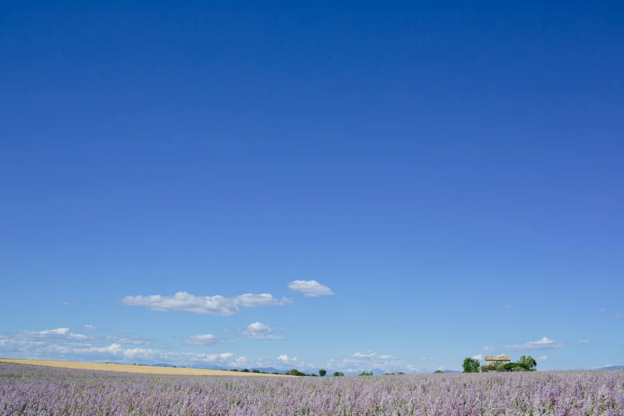 valensole-france-30.jpg