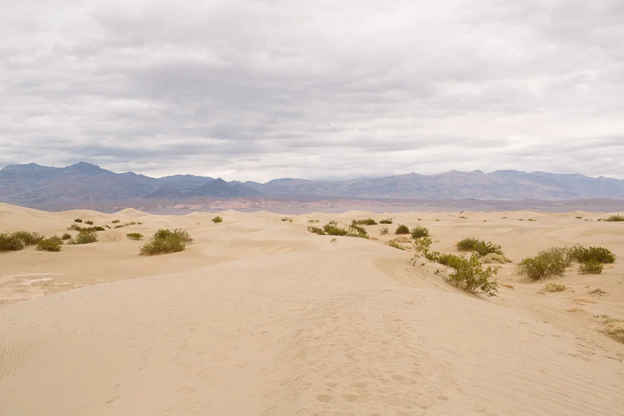 death-valley-060.jpg