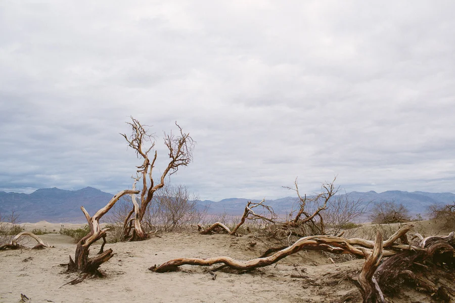 death-valley-068.jpg