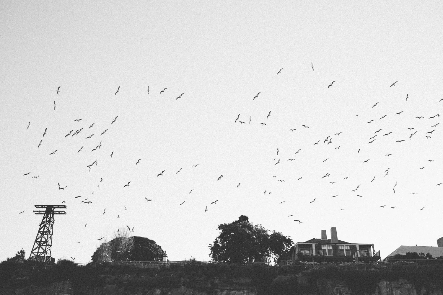 cockatoo-island-016.jpg