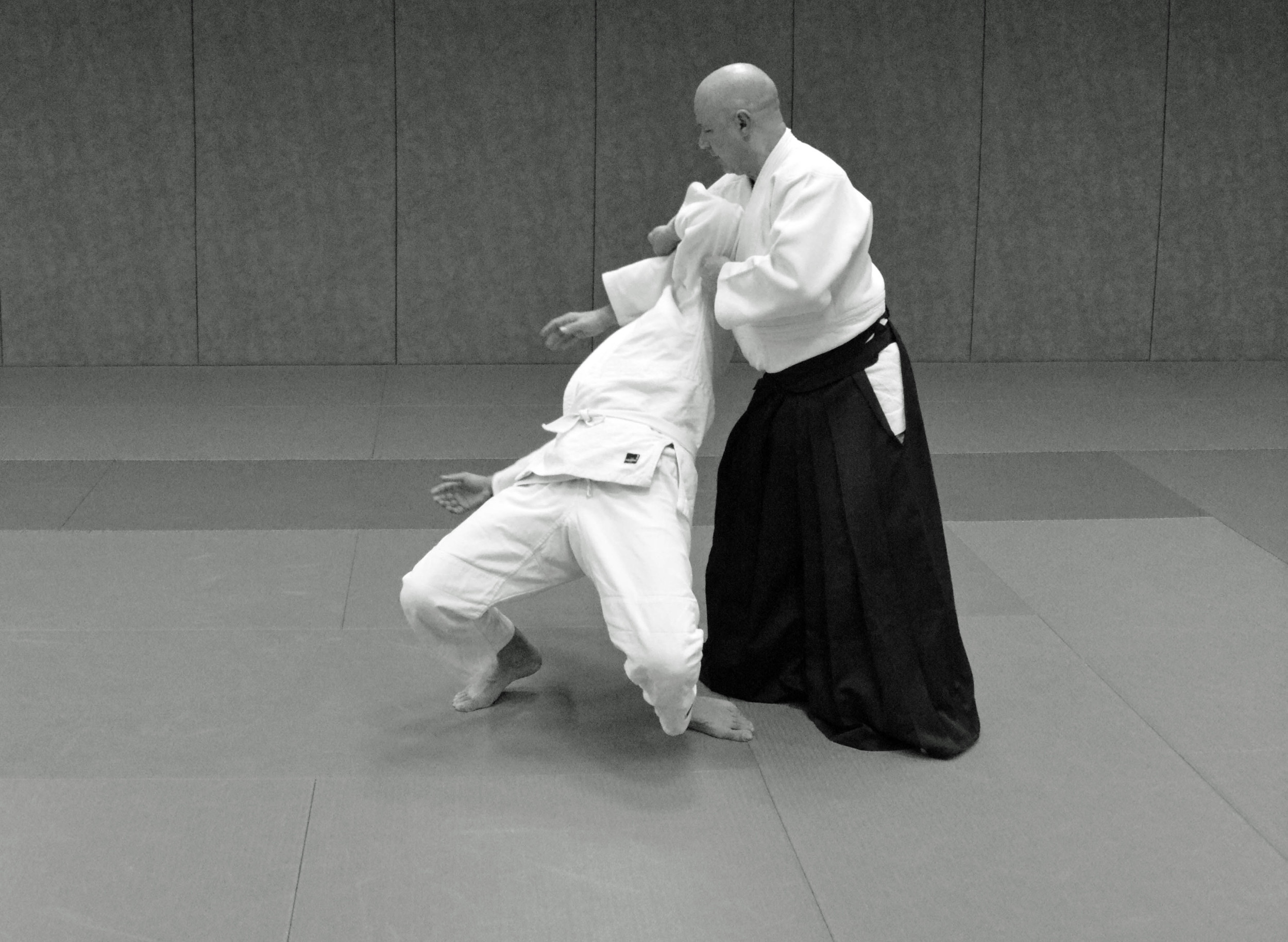 kokyu nage 7.jpg