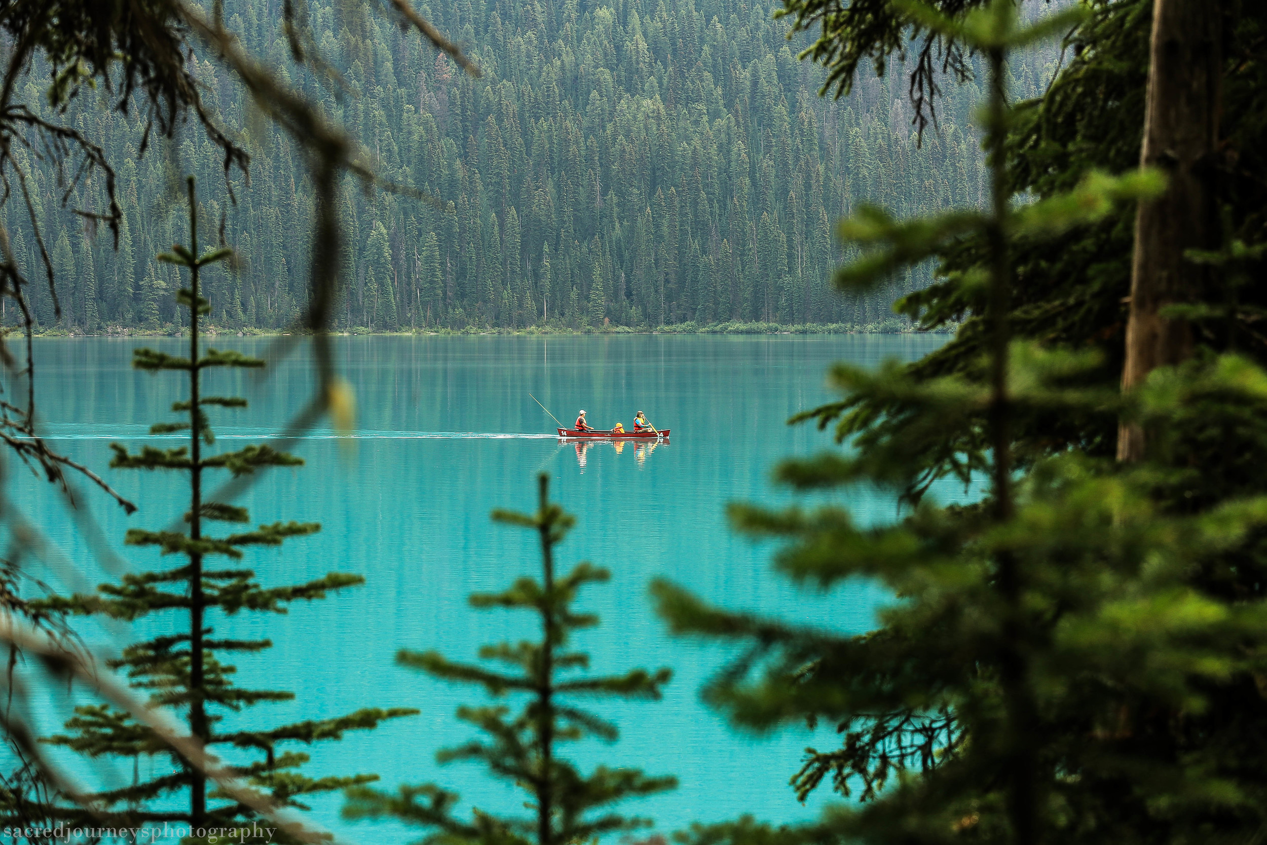 Emerald Lake Yoho National Forest British Columbia