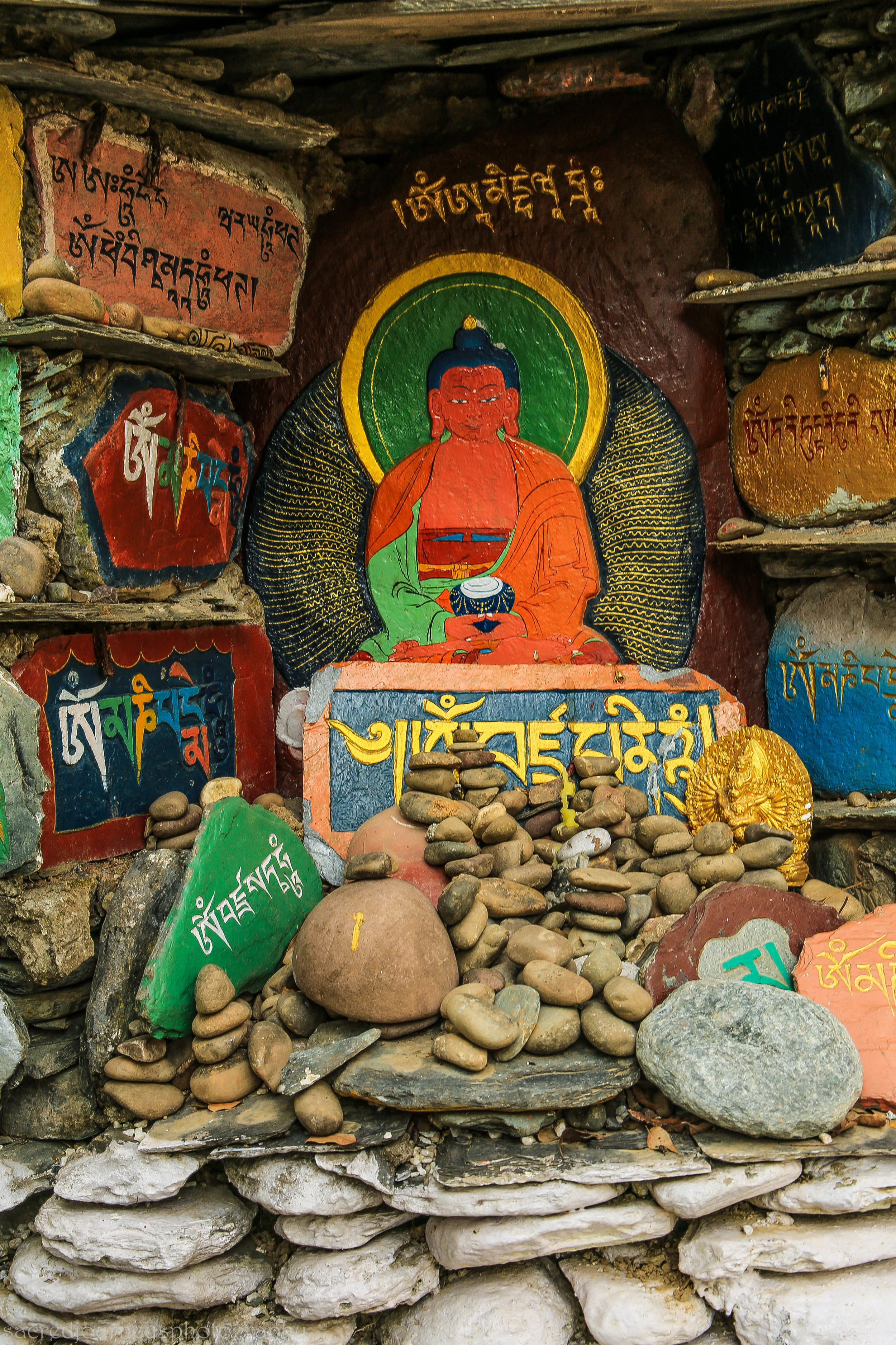  Altar at Norbulingkha Dharmsala