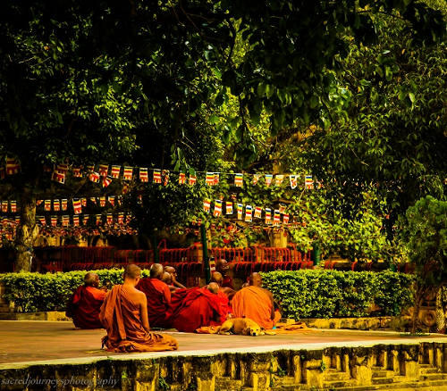  Meditation under the Bodhi Tree at The Maha Bodhi Temple