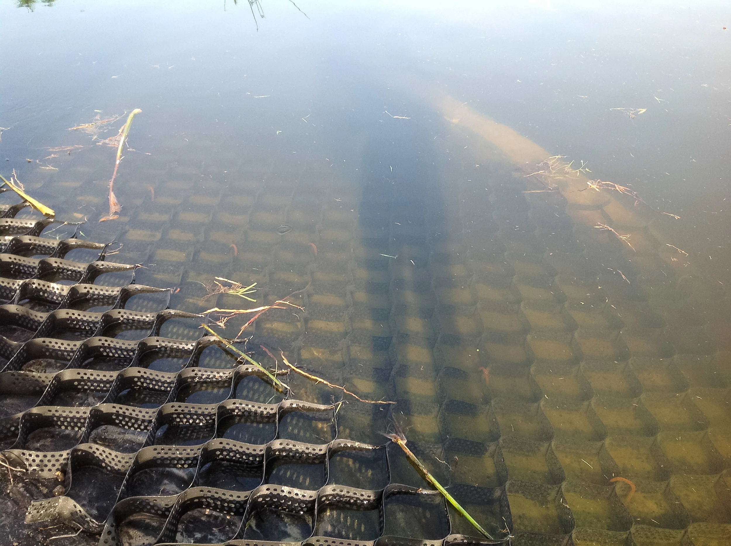 Geocell matrix traversing the water line for stability. 