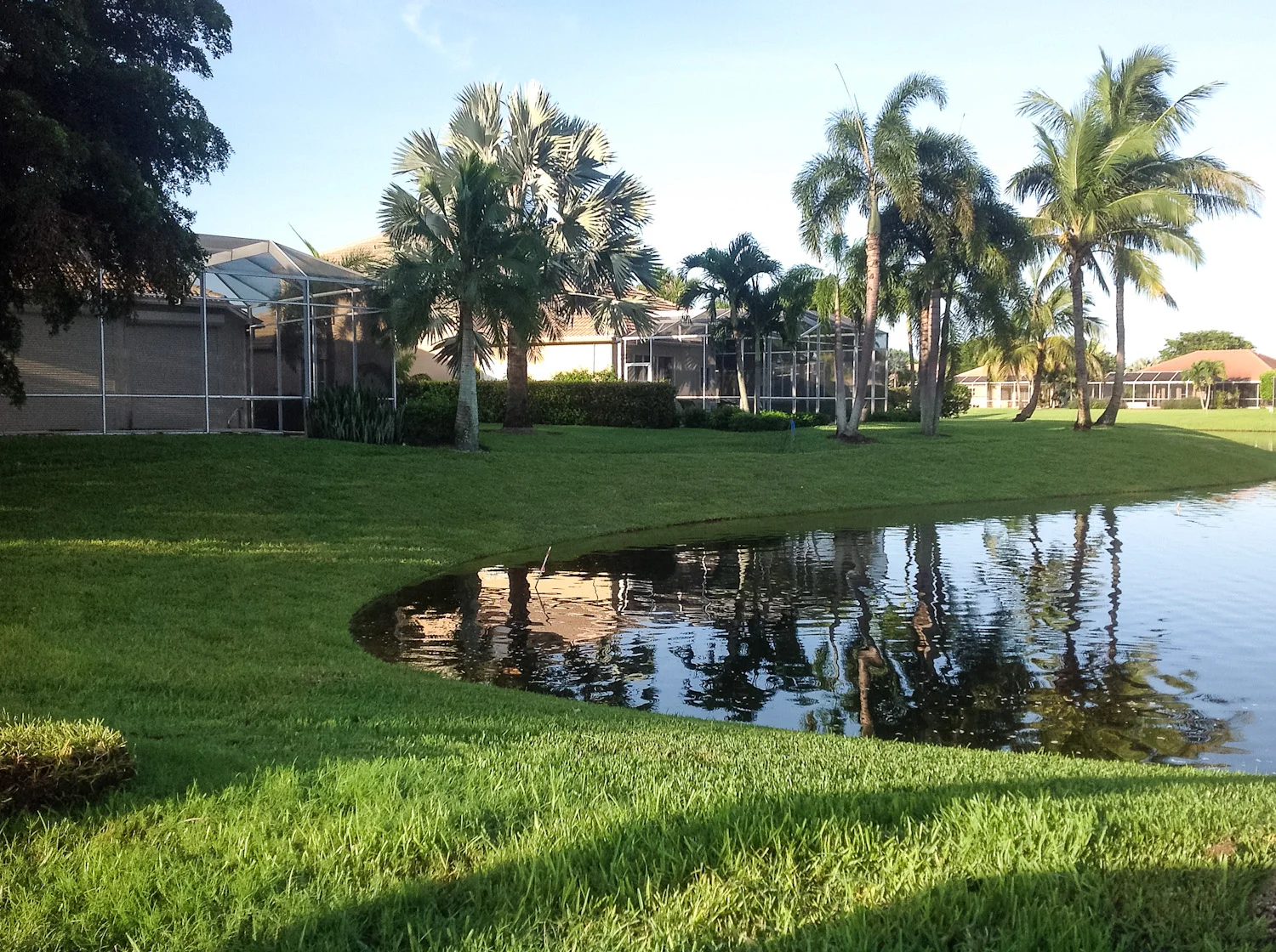 Completed application with full grass regrowth to water line. Perfect for golf courses!