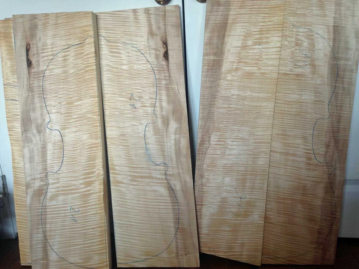 A pair of deeply flamed Bosnian cello backs.