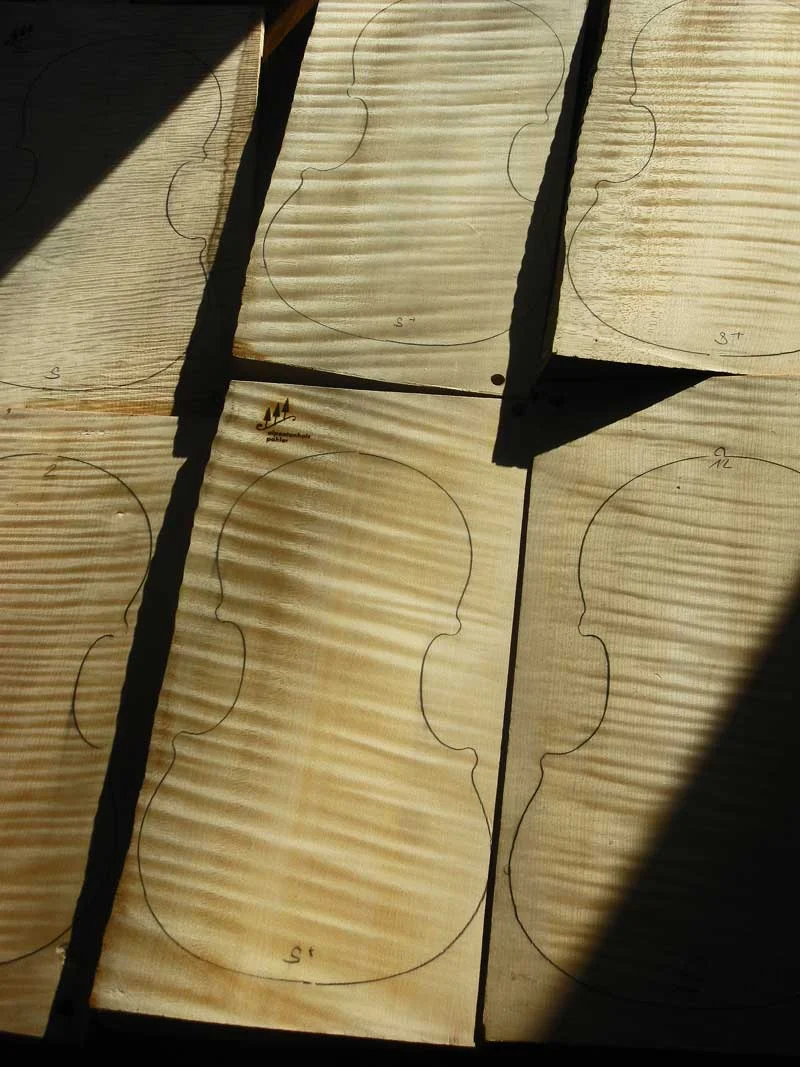 One-piece Bosnian violin backs.