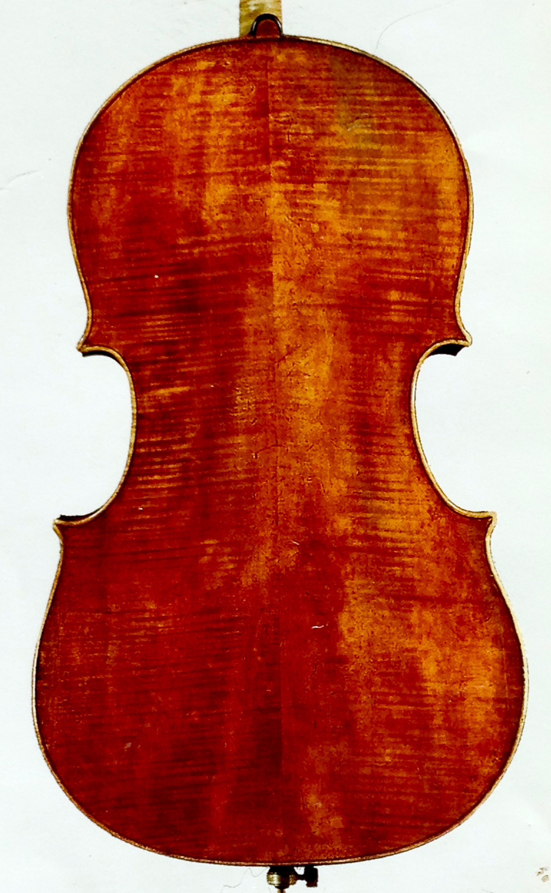 A Montagnana cello, showing the varnish wear on the back. The varnish begins to wear the moment the cello is first played.