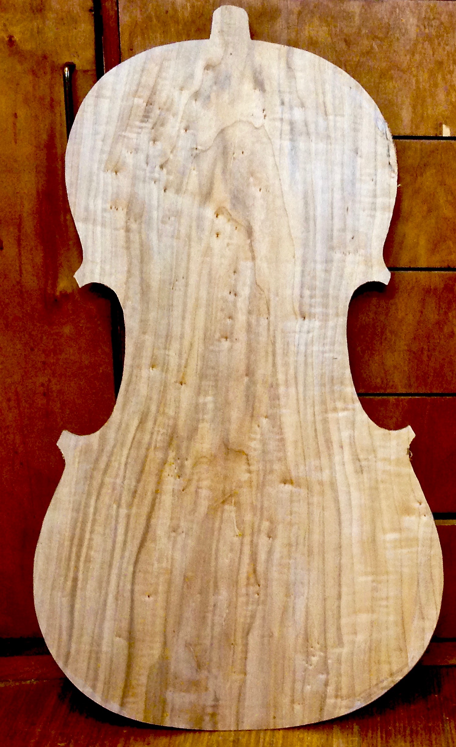 A poplar cello back. The grain stands out more than maple and the figure is more subtle, with knots and birdseyes. 