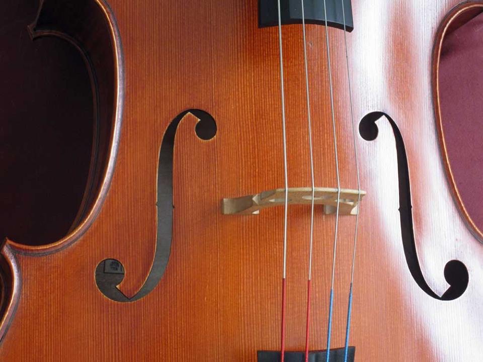 A fully varnished and polished cello, strung up