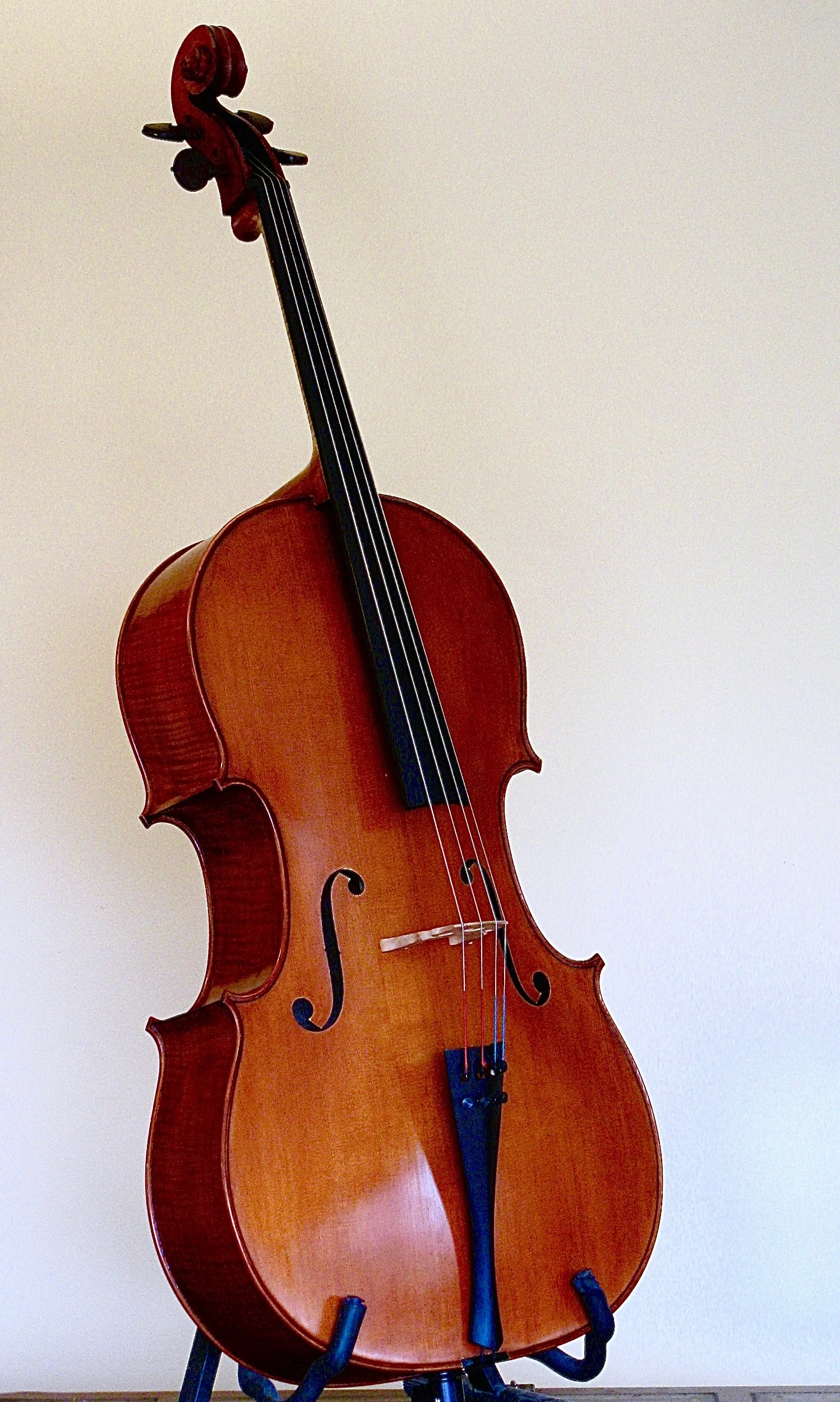 Finished cello