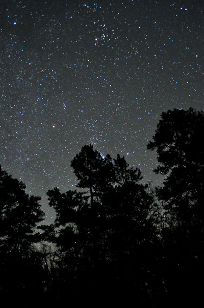 STARS art print by Aaron McGaughy