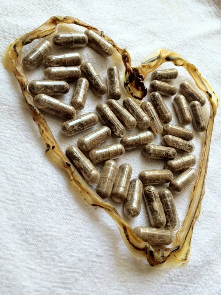 Cápsulas de Placenta