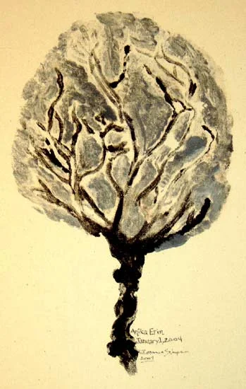 placenta-5.jpg