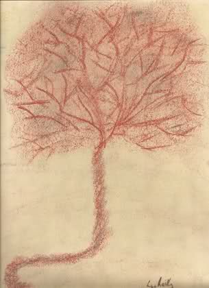 placenta-6.jpg