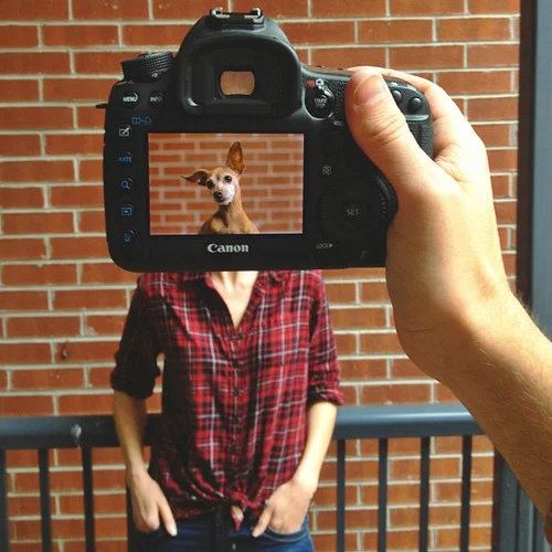 tumblr_mmr0xueTmN1qz6f9yo3_500.jpg