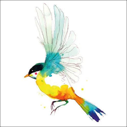 colibri.jpg