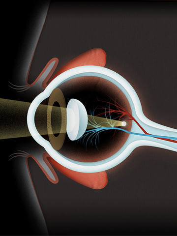 eye_ball.jpg
