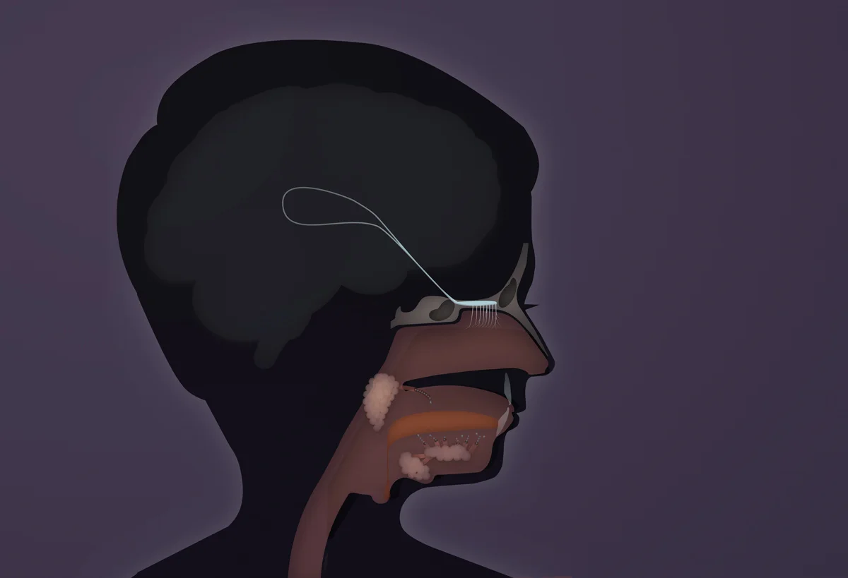 insidehead.jpg