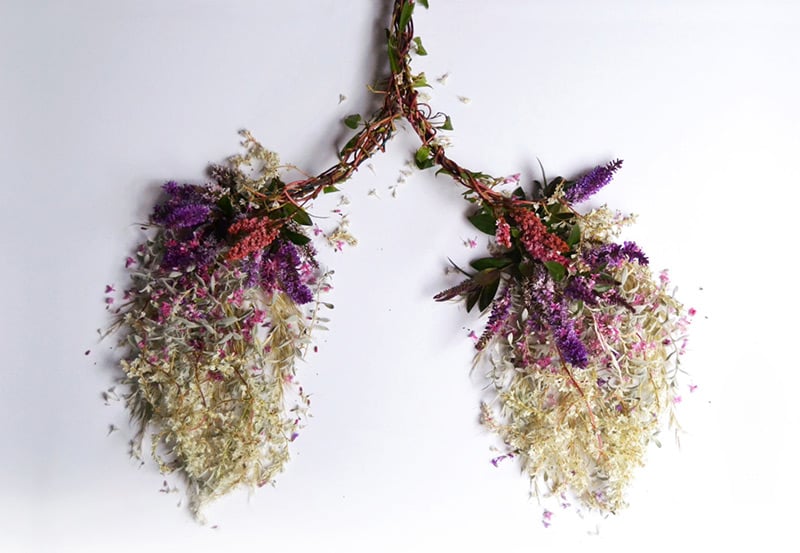 Pulmones. Eye Heart Spleen by Camila Carlow { vía }