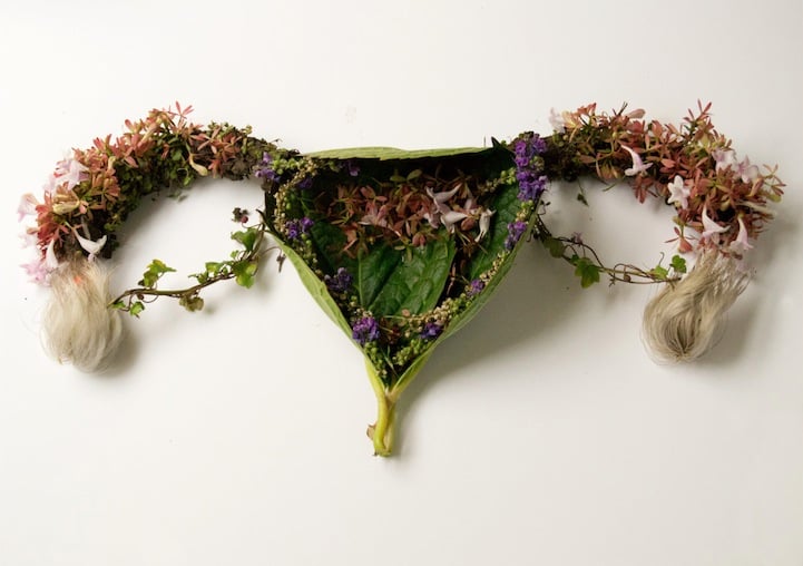 Útero. Eye Heart Spleen by Camila Carlow 