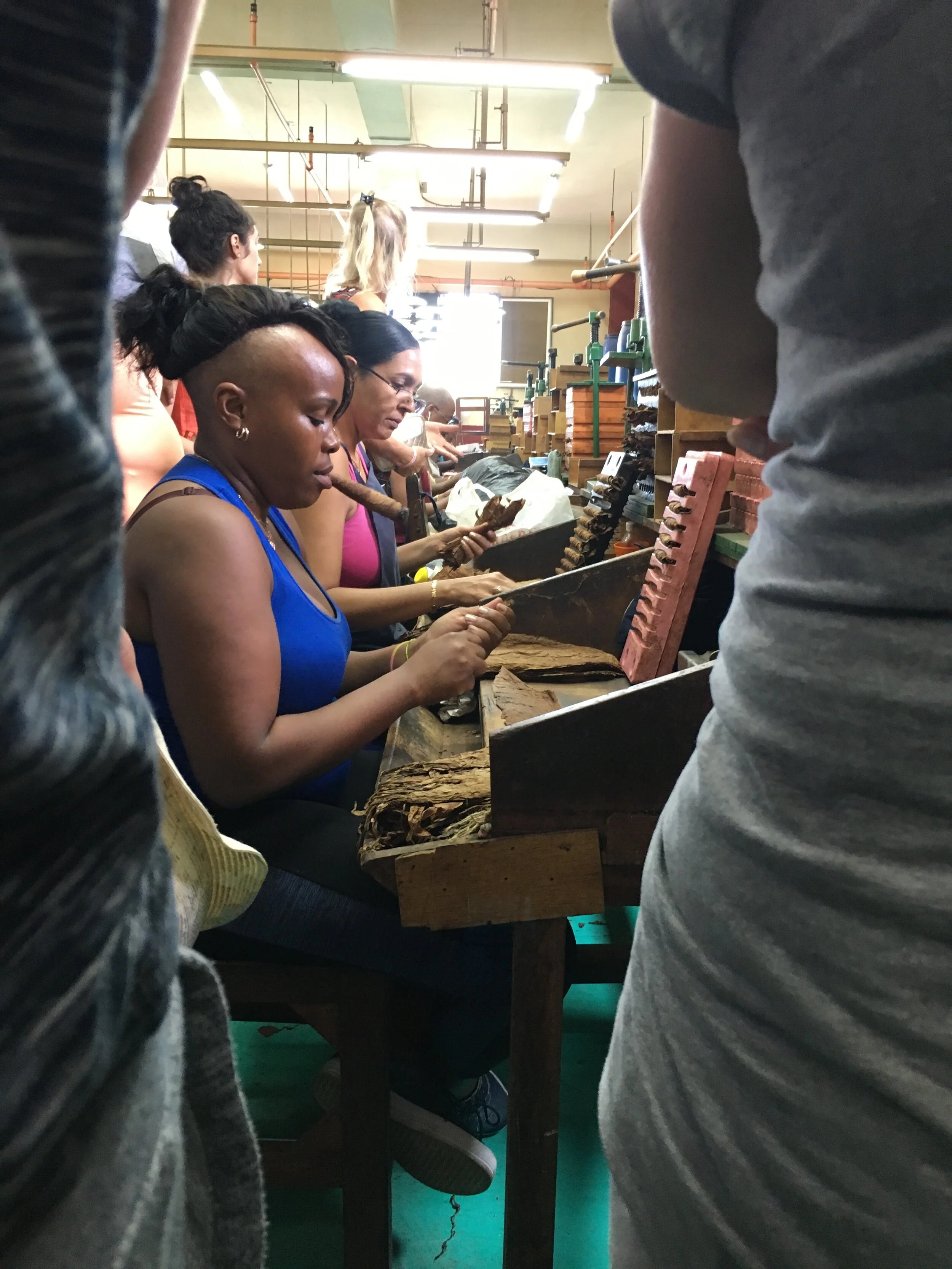 2016-12-13 11.17.51-1.jpg